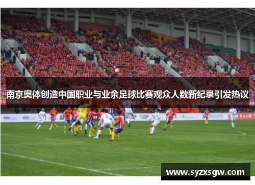 南京奥体创造中国职业与业余足球比赛观众人数新纪录引发热议